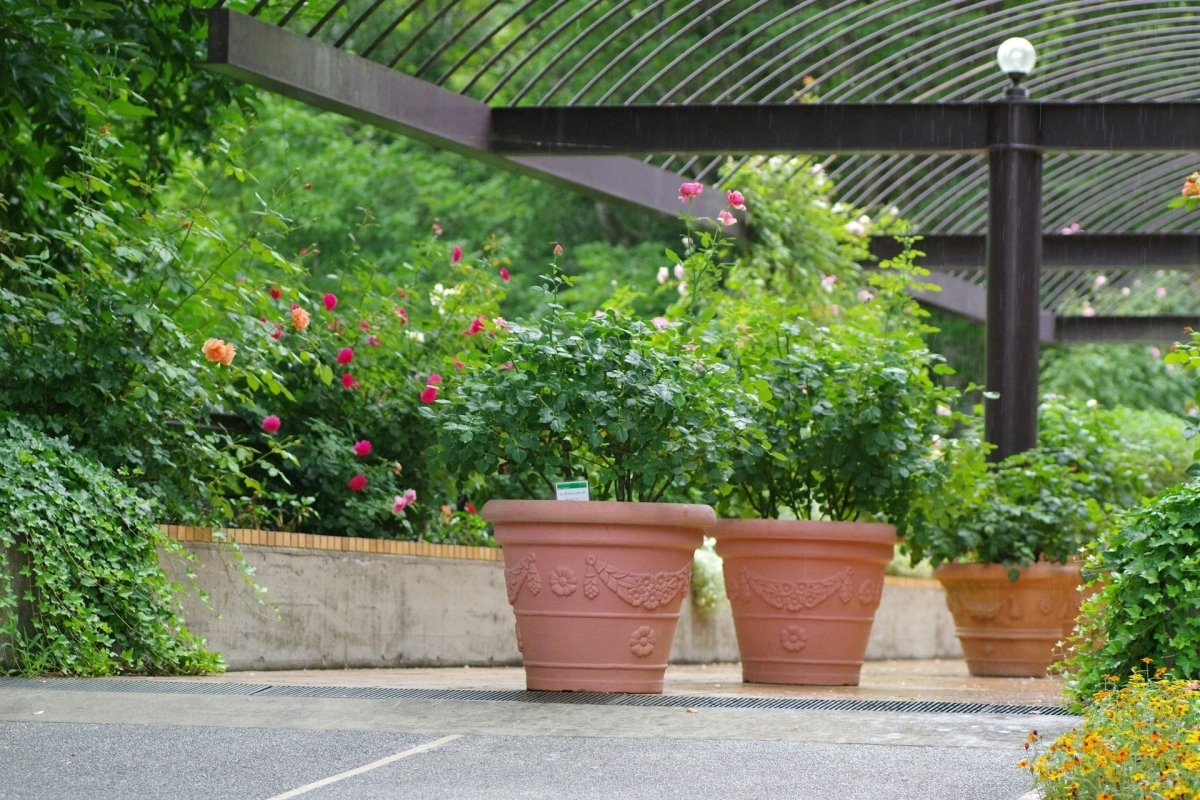 Garden Decking