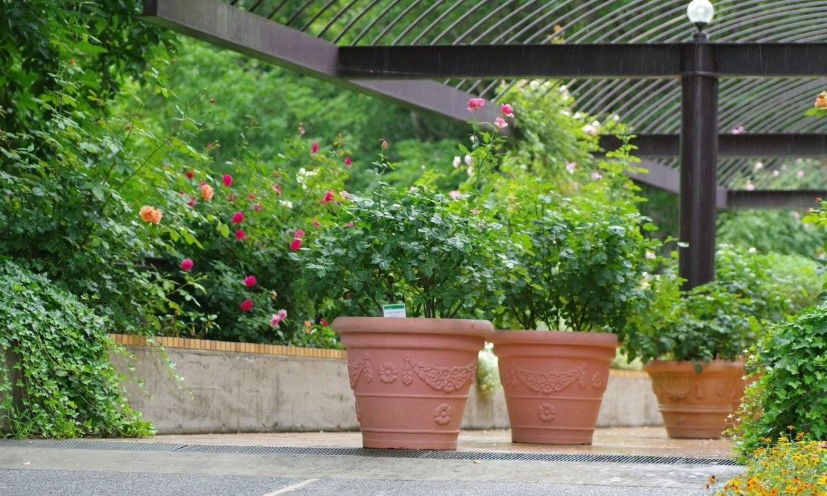 Garden Decking