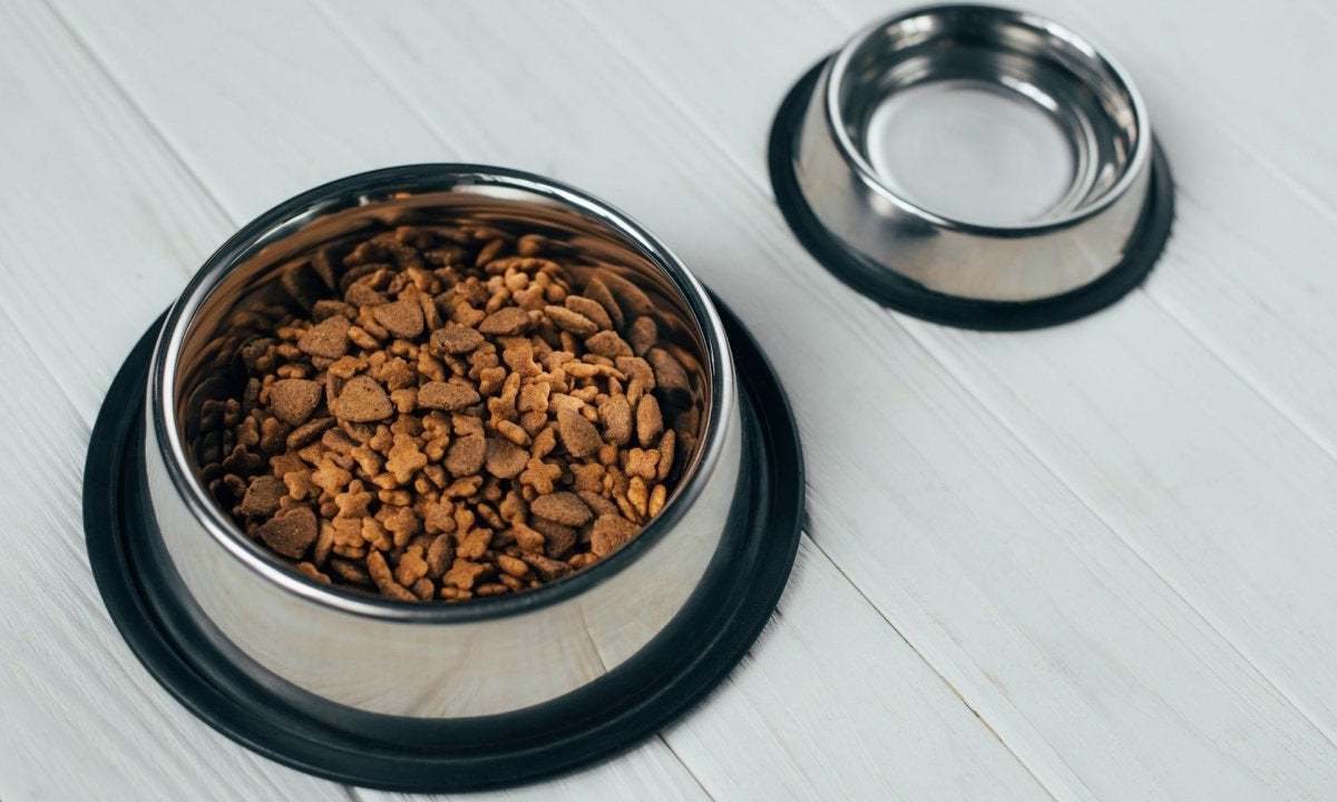 Pet-Friendly Anti-Slip Solutions: Enhancing Safety for Your Four-Legged Family Members - Slips Away