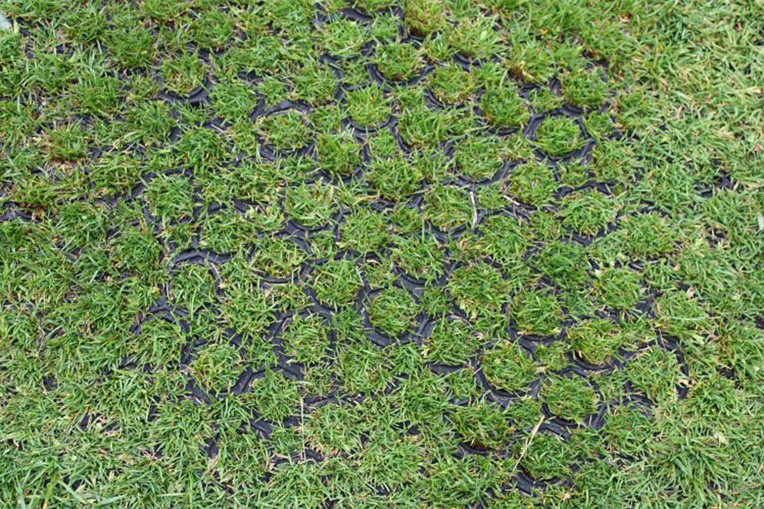 Rubber Grass Matting Roll L10.5m x W1m Safe Construction Walkway & 23mm Thickness