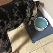 Dog Food Mat, Silicone Dog Bowl Mat, Non-Slip Cat and Dog Feeding Mat, Waterproof Dog Placemat L (47 * 30) - Slips Away - B0B8C349PV -