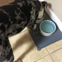 Dog Food Mat, Silicone Dog Bowl Mat, Non-Slip Cat and Dog Feeding Mat, Waterproof Dog Placemat L (47 * 30) - Slips Away - B0B8C349PV -